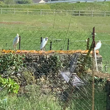 Oda ve Kahvaltı Ferme De La Croix Brion-pres-Thouet