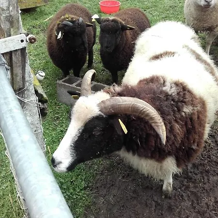 Ferme De La Croix Couette-café